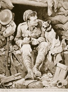 Gib ihr meine Liebe, Tommys Hundefreund schlägt einen Nachsatz zum Brief nach Hause vor, aus War Illustrated, ca. 1916